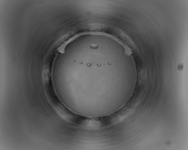 X0000101650644200807101232