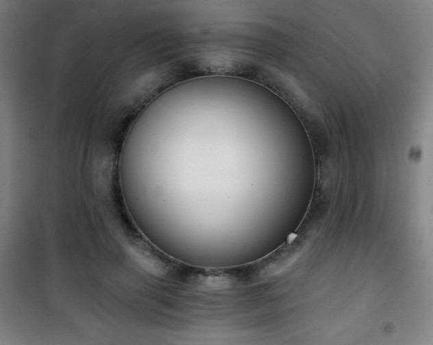 X0000101650645200807101232