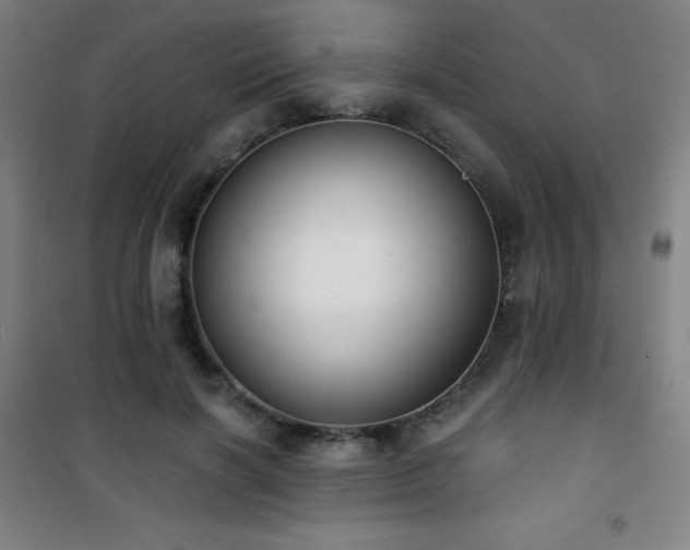 X0000101650646200807101232