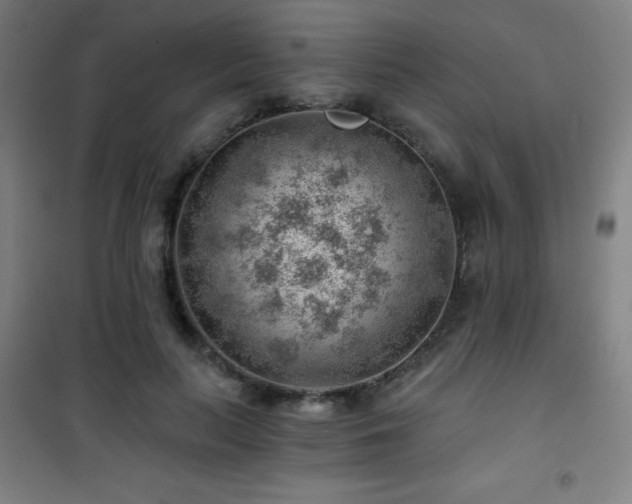 X0000101650647200807101232