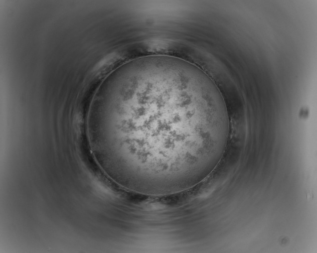 X0000101650648200807101232