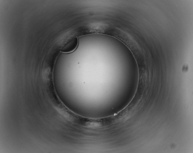 X0000101650649200807101232