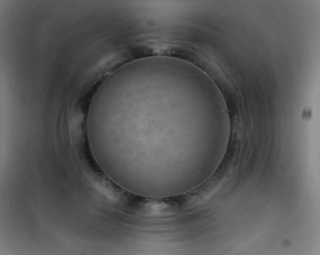 X0000101650650200807101232