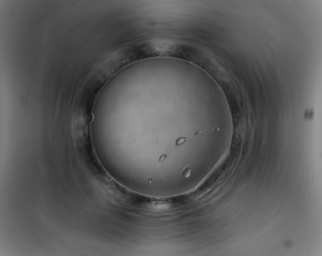 X0000101650651200807101232