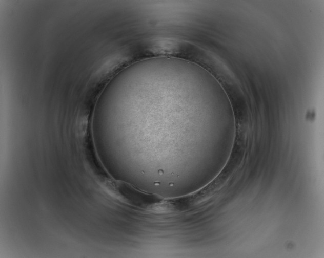 X0000101650652200807101232