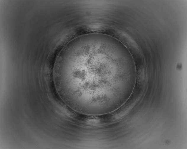 X0000101650653200807101232