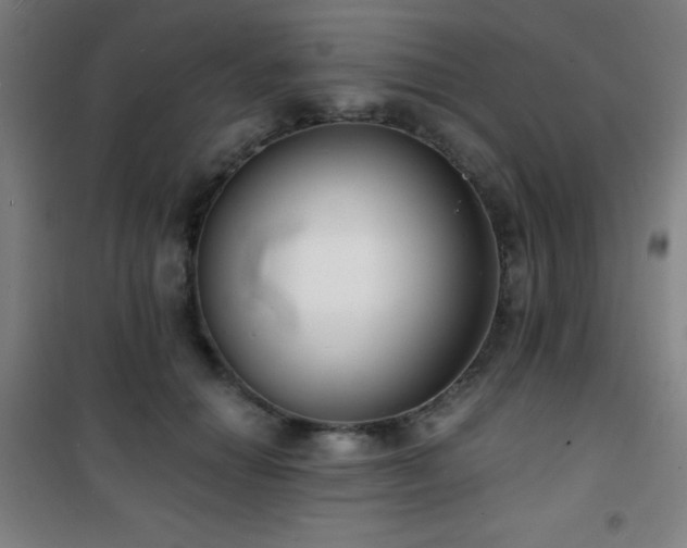 X0000101650654200807101232