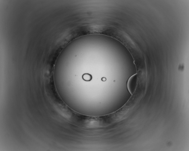 X0000101650655200807101232