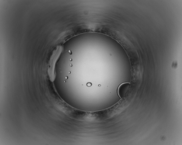 X0000101650656200807101232