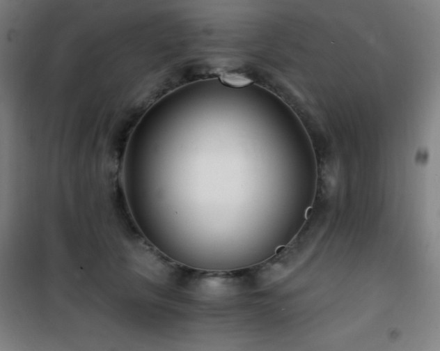 X0000101650657200807101232