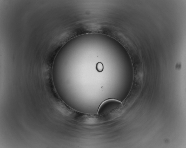 X0000101650658200807101232