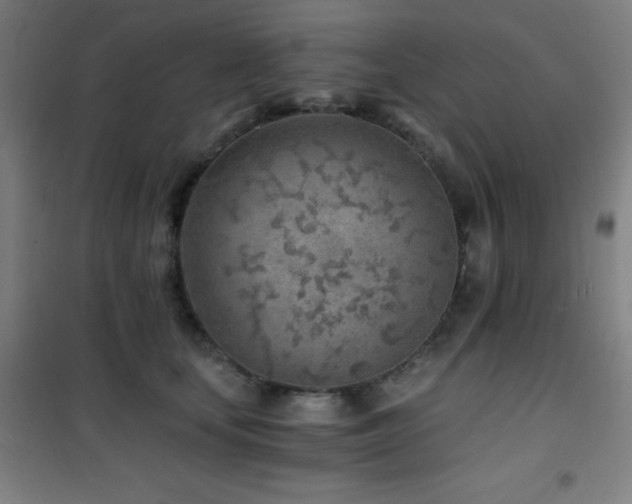 X0000101650659200807101232