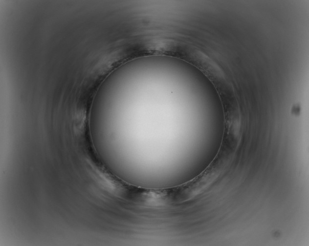 X0000101650660200807101232