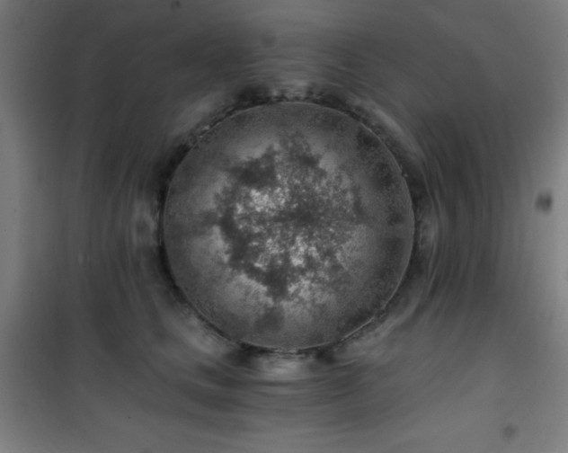 X0000101650661200807101233