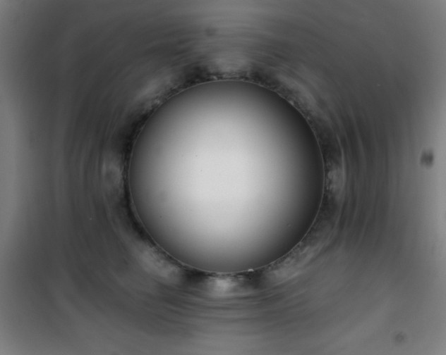 X0000101650662200807101233