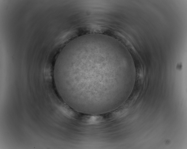 X0000101650663200807101233