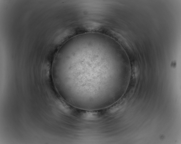 X0000101650664200807101233