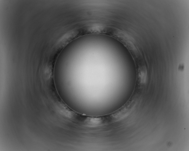 X0000101650665200807101233