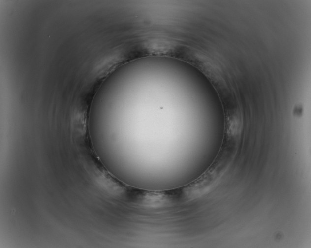 X0000101650666200807101233