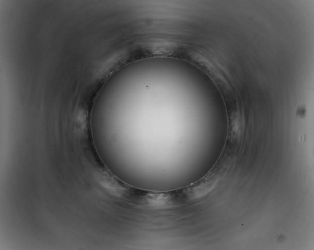 X0000101650667200807101233