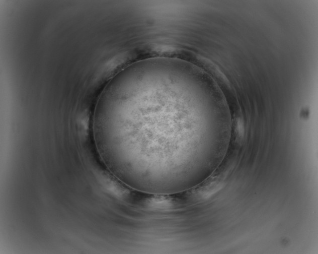 X0000101650668200807101233