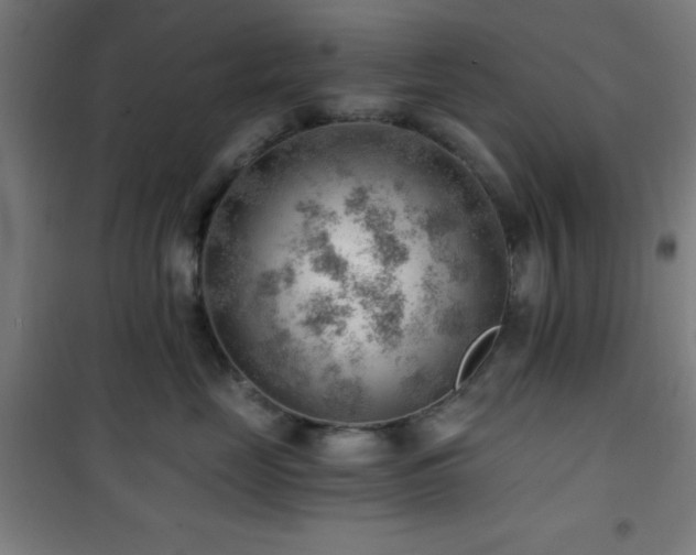 X0000101650669200807101233