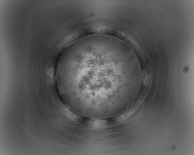 X0000101650670200807101233