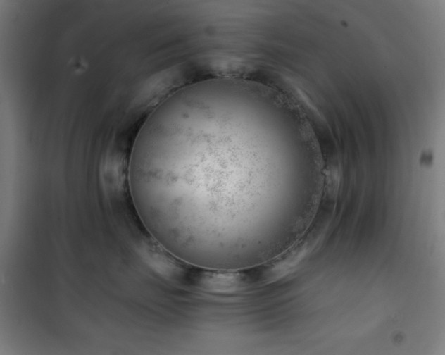 X0000101650671200807101233