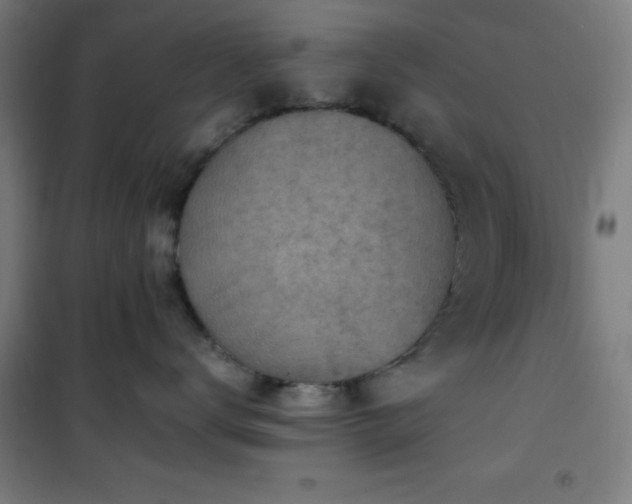 X0000101650672200807101233