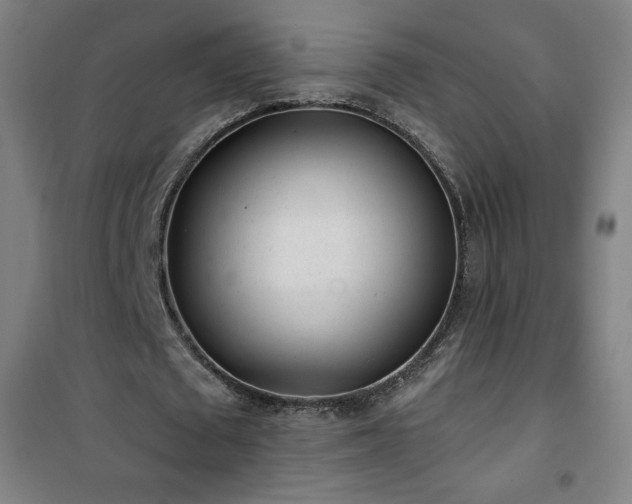 X0000101650673200807101232