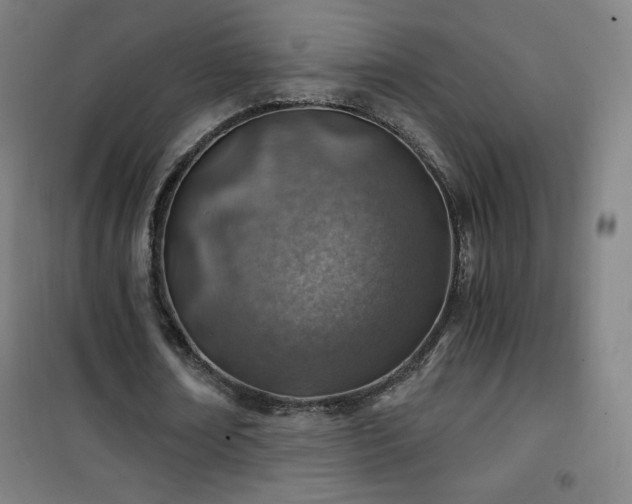 X0000101650674200807101232