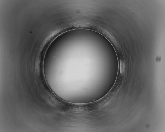 X0000101650675200807101232