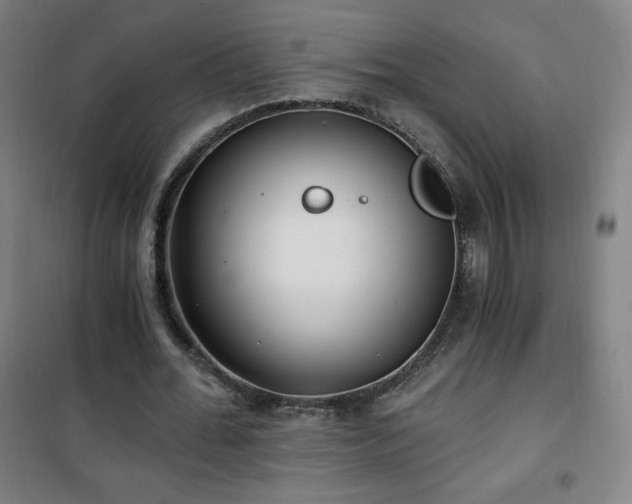 X0000101650676200807101232