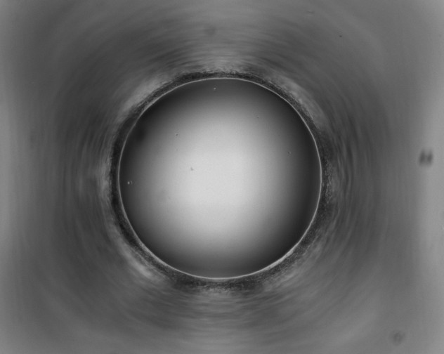 X0000101650677200807101232