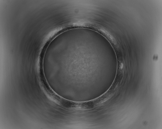 X0000101650678200807101232