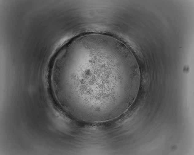 X0000101650679200807101232