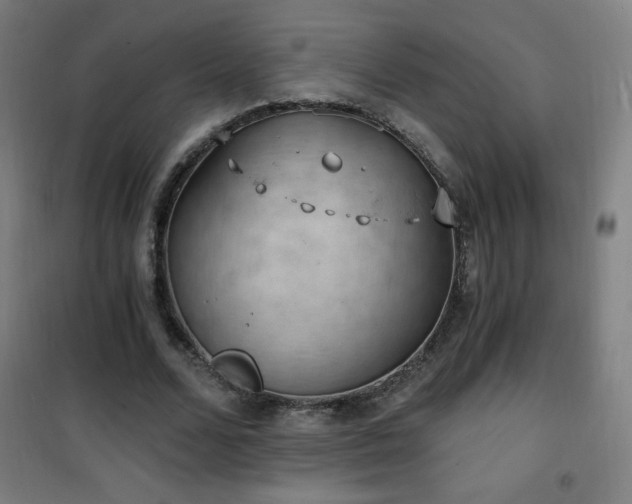 X0000101650680200807101232