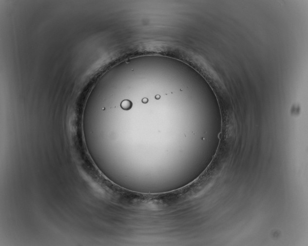 X0000101650683200807101232