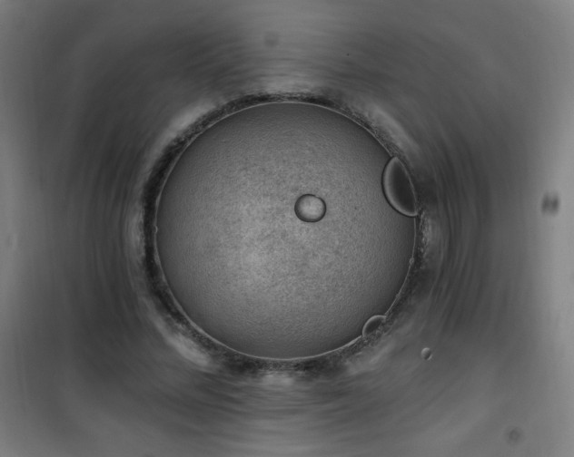 X0000101650684200807101232