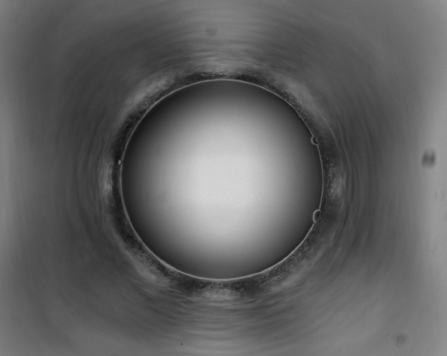 X0000101650685200807101232