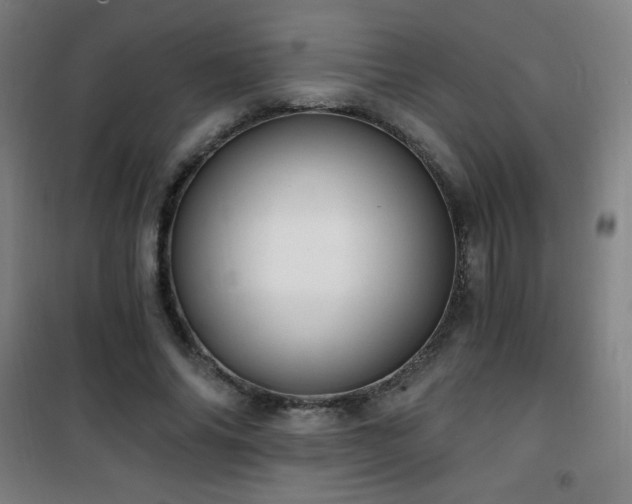 X0000101650686200807101232