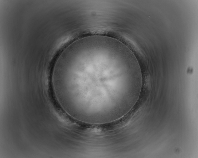 X0000101650687200807101232