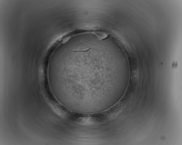 X0000101650688200807101232