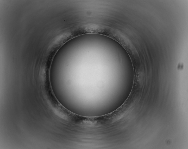 X0000101650690200807101232