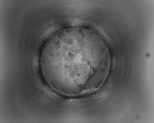 X0000101650691200807101232