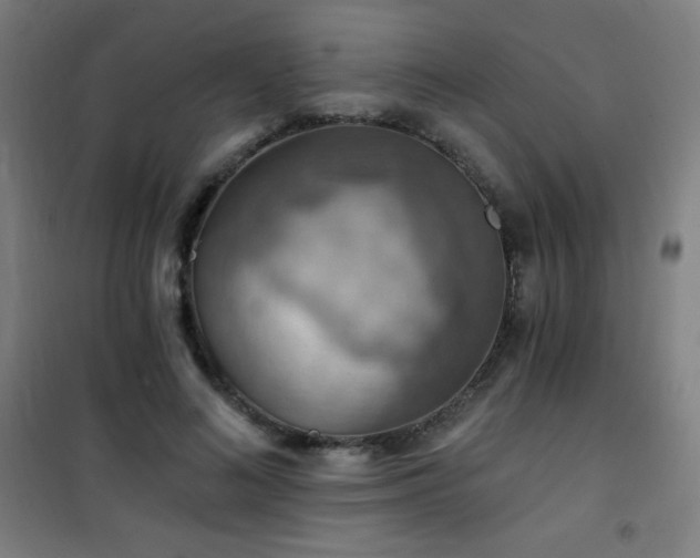 X0000101650692200807101232