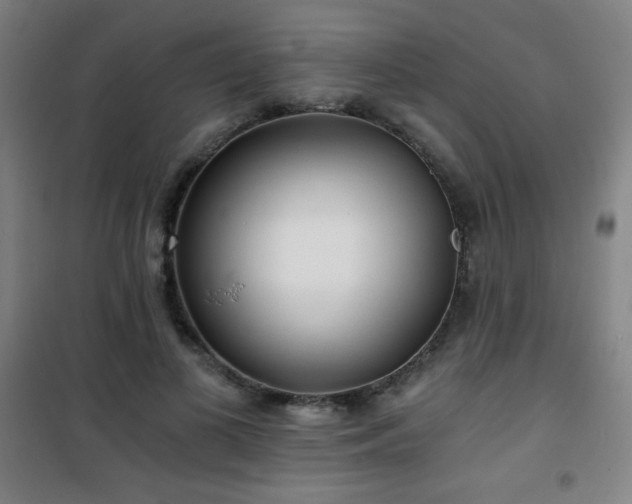 X0000101650693200807101232