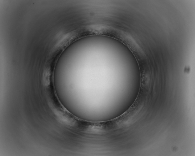 X0000101650694200807101232