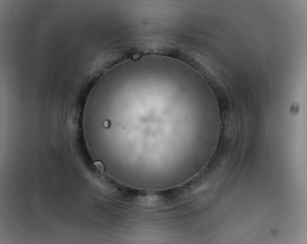 X0000101650695200807101232