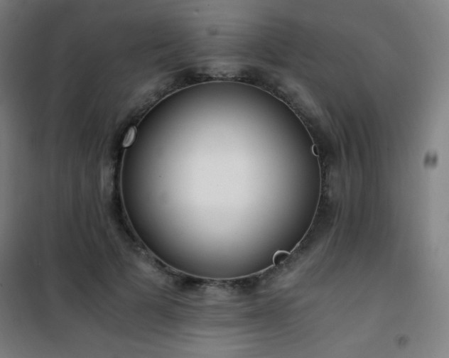 X0000101650697200807101232